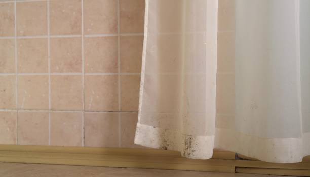 Best Mold Removal for HVAC Installations  in Eastman, GA