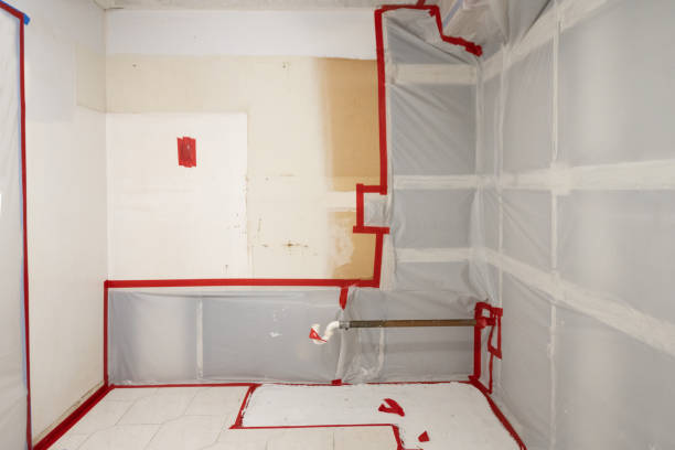 Best Mold Damage Restoration  in Eastman, GA