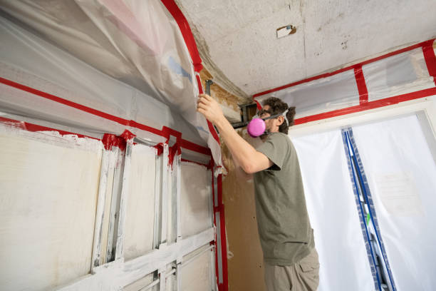 Best Comprehensive Air Testing for Mold Contaminants  in Eastman, GA