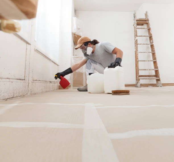 Best Mold-Related Health Consultation  in Eastman, GA