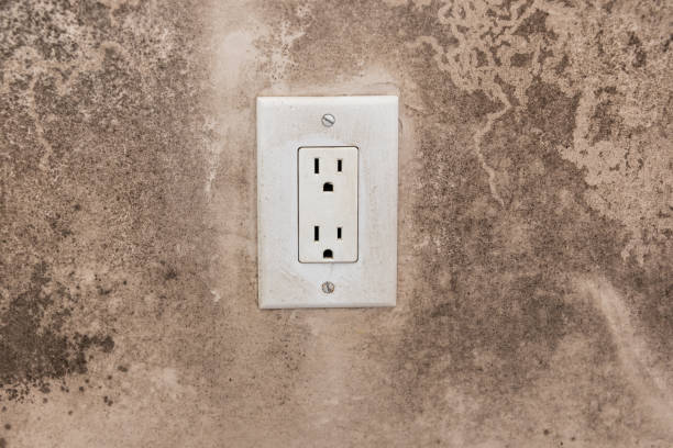 Best Real Estate Mold Inspection  in Eastman, GA